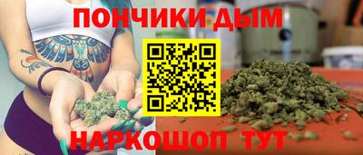 индика Кунгур