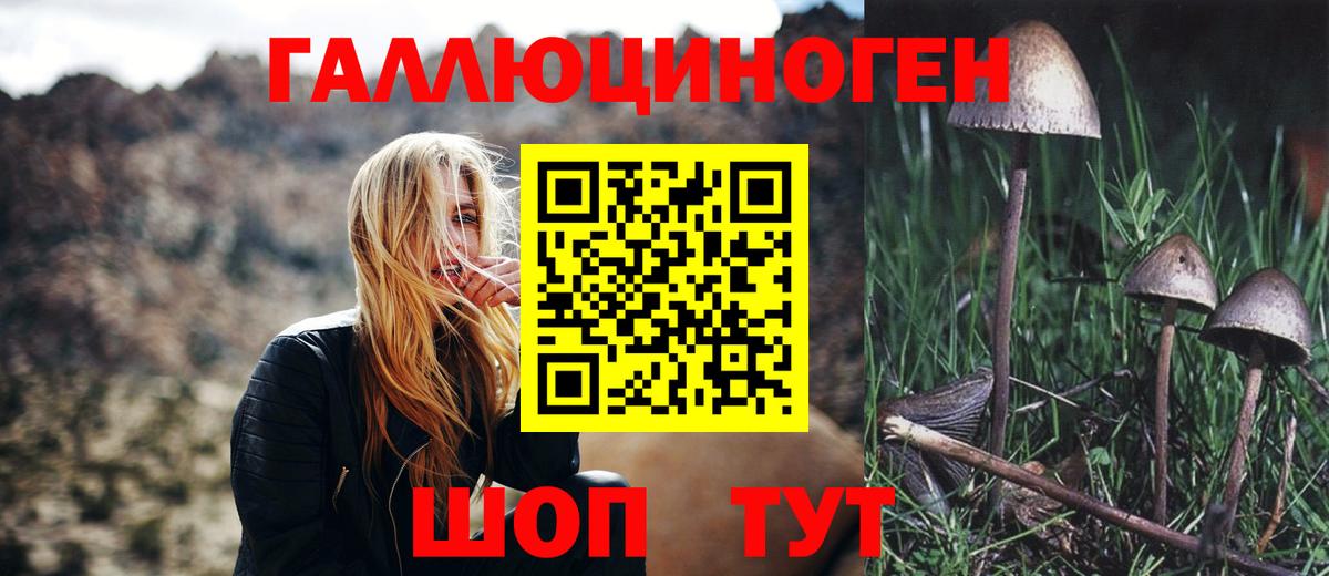 Феодосия  Галлюциногенные грибы Psilocybe  Вход с VPN 